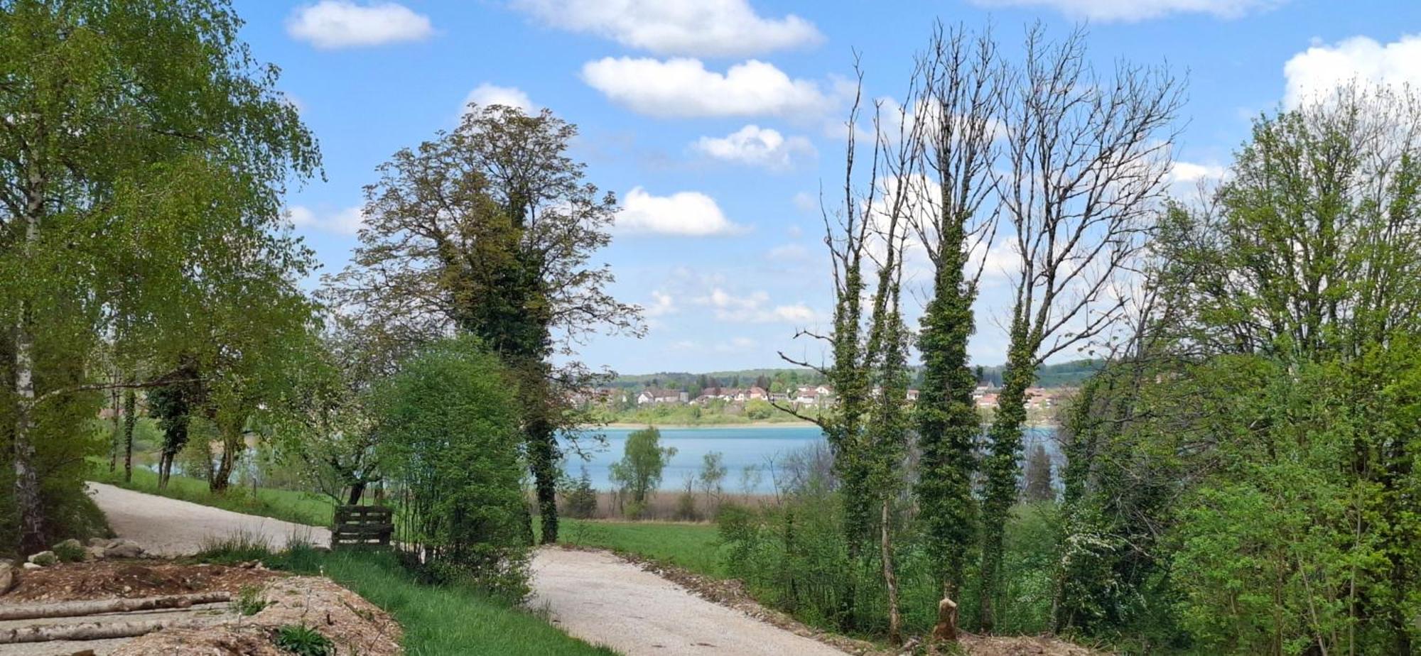 Gites Aux Granges Du Vilaret Clairvaux-les-Lacs Eksteriør bilde